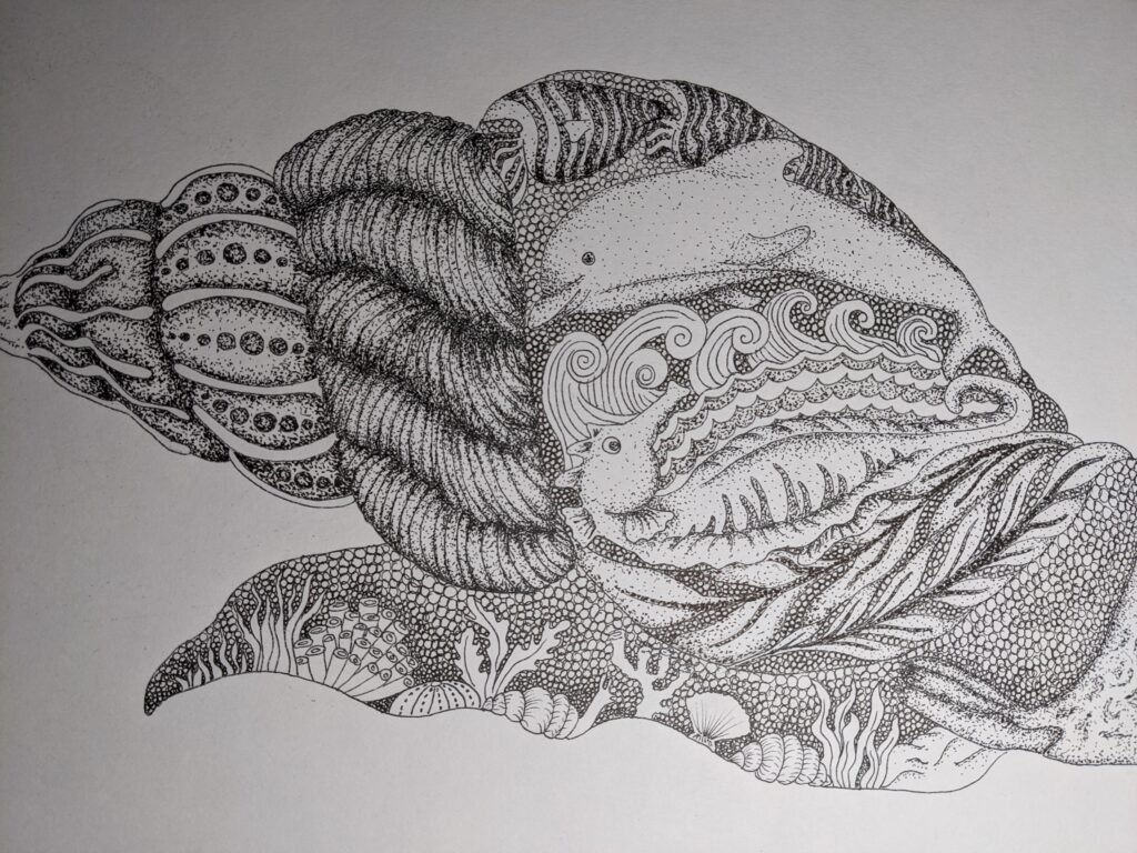Snail fine drawing - After School Kids Art Club Totnes, Devon