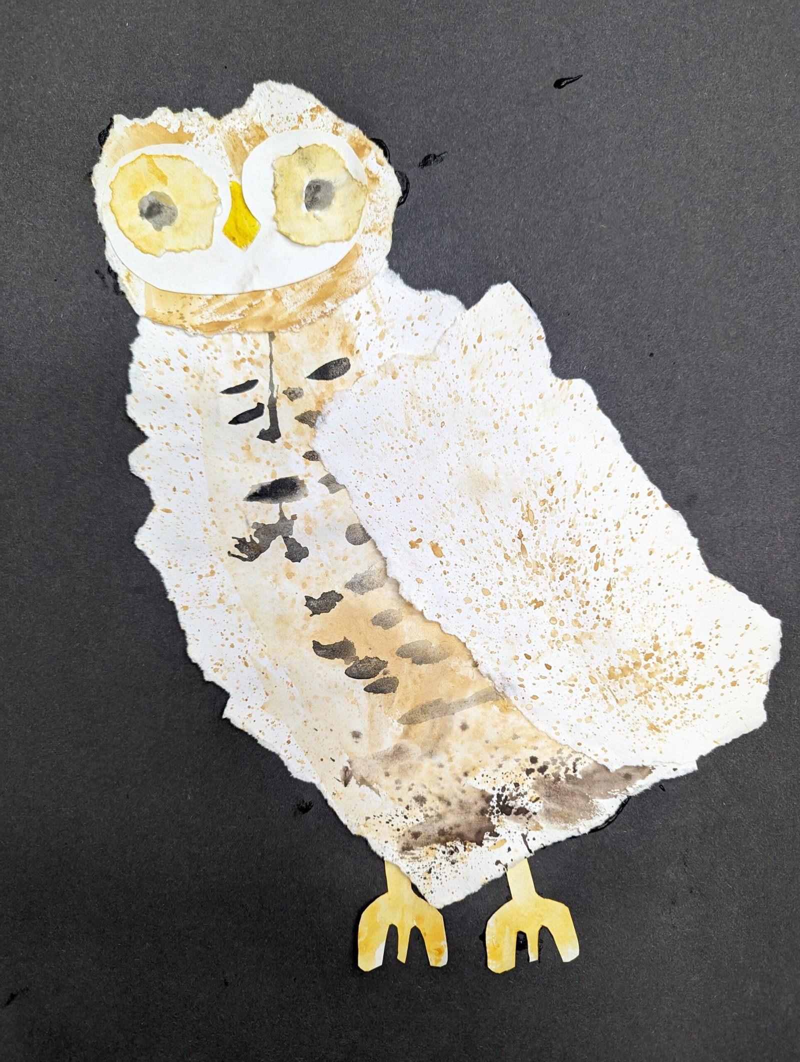 Owl Wet and Wet Paper Collage | Totnes Kids Art Club